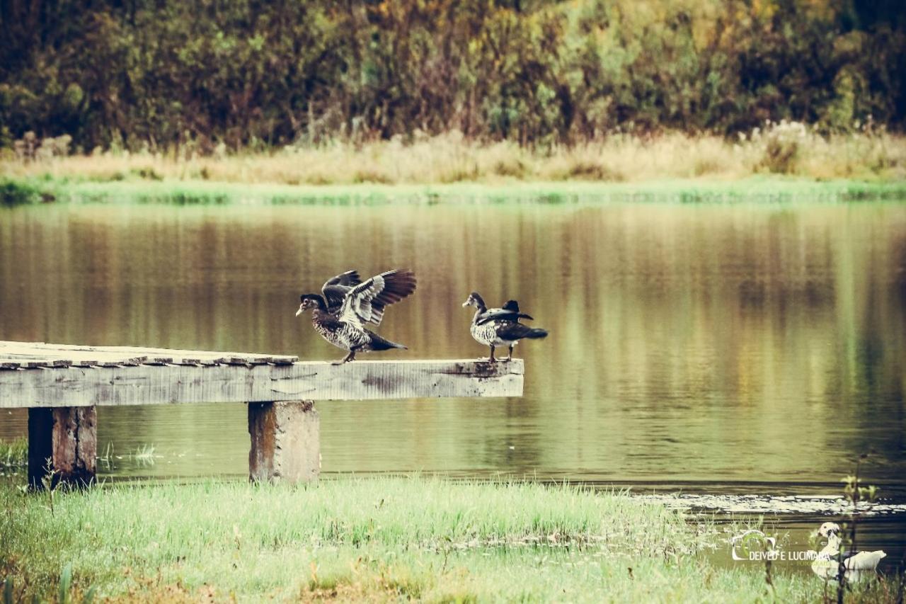 Refugio Do Lago لاجيس المظهر الخارجي الصورة